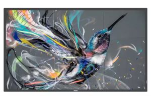 Display Philips 75BDL3511Q/00 4K Ultra HD 18/7 75''