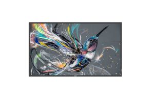 Display Philips 55BDL3511Q/00 4K Ultra HD 18/7 55''