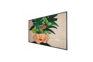 Display Philips 55BDL4511D/00 4K Ultra HD 18/7 55"