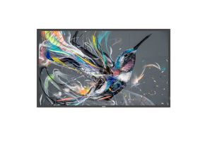 Display Philips 50BDL3511Q/00 4K Ultra HD 18/7 50''