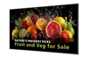 Display Philips 86BDL5050D/00 4K Ultra HD HD 24/7 86"