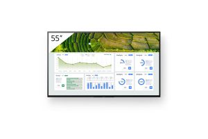 Display Sony Bravia FW-55BZ30L 4K Ultra HD 24/7 55"