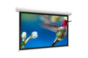 Projecta Elpro Concept WS 163x290 Matte White