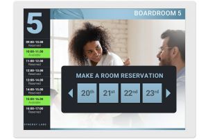 Display Sharp/NEC ePaper 13" (EP-C131)