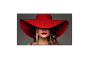 Display Philips 43BDL4650D 4K Ultra HD 24/7 43"