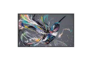 Display Philips 65BDL3511Q/00 4K Ultra HD 18/7 65''