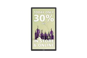 Display Philips E-Ink 25BDL4150I/00 QHD+ 24/7 25"
