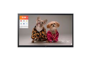 Touchscreen CTOUCH Riva R2 65"