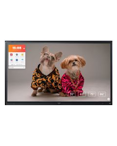 Touchscreen CTOUCH Riva R2 65"