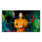 Display Samsung QB43C 4K Ultra HD 16/7 43"