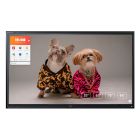 Touchscreen CTOUCH Riva R2 65"